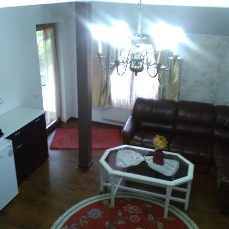 Pensiunea Casa Elena Agnita Luaran gambar