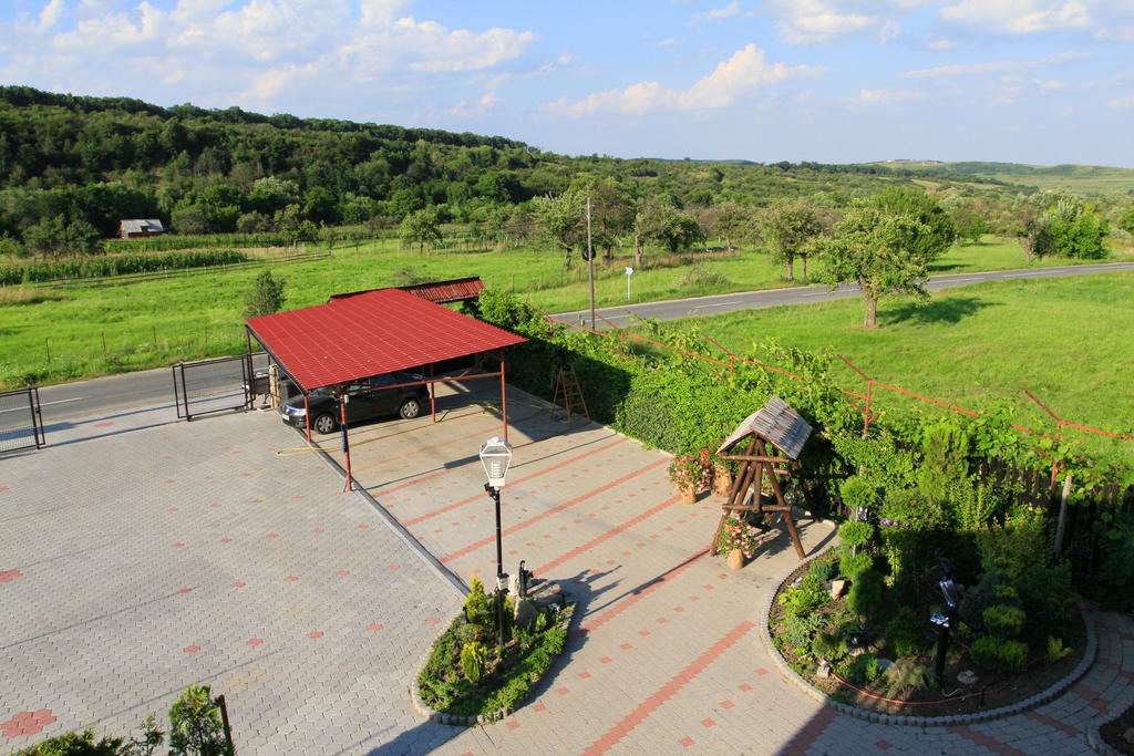 Pensiunea Casa Elena Agnita Luaran gambar
