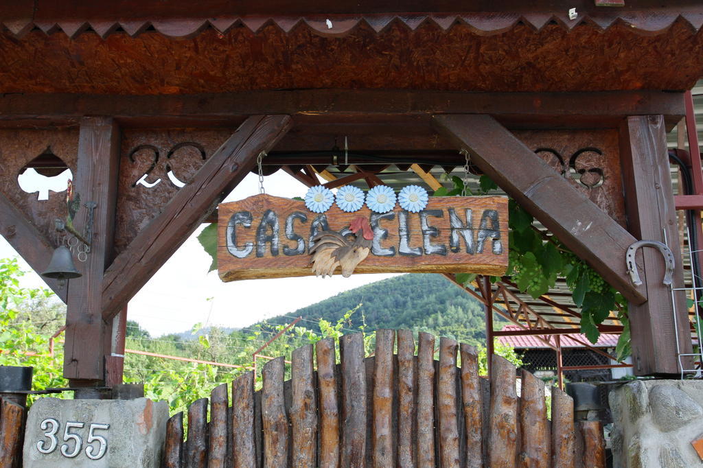 Pensiunea Casa Elena Agnita Luaran gambar