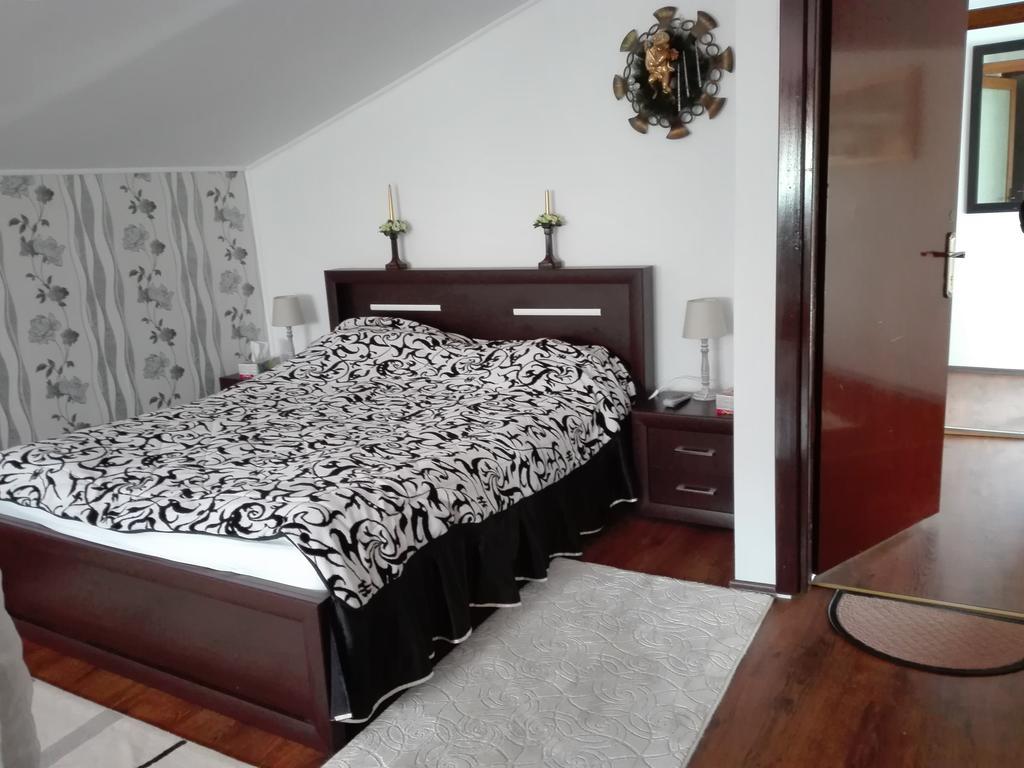 Pensiunea Casa Elena Agnita Luaran gambar