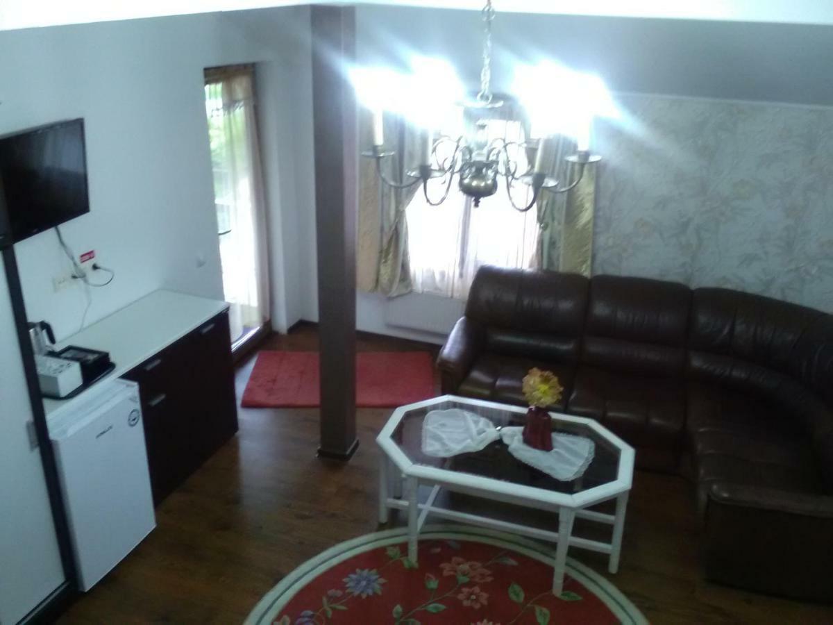 Pensiunea Casa Elena Agnita Luaran gambar